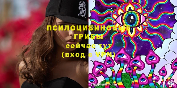 молекула духа Волосово