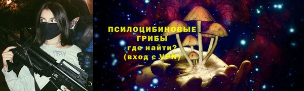 Альфа ПВП Володарск